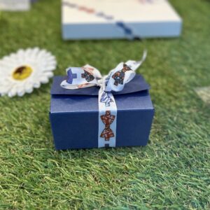 Petit ballotin 9 pralines